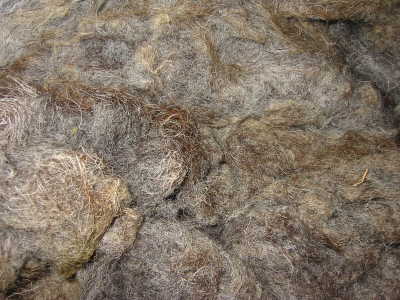 Herdwick wool